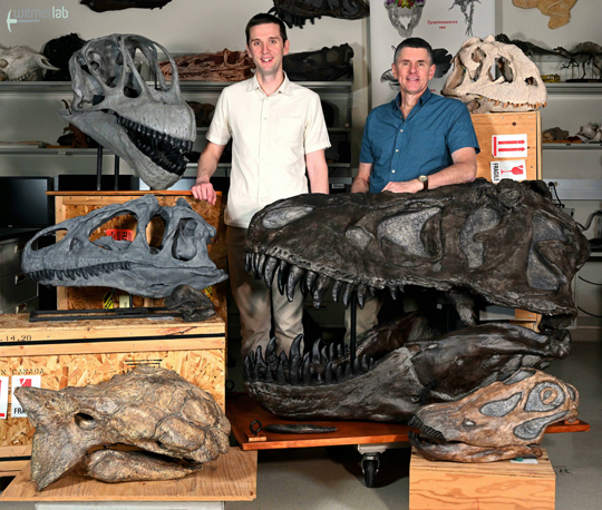 Scientists examine how dinosaurs kept cool.