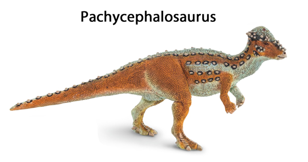 The new for 2020 Wild Safari Prehistoric World Pachycephalosaurus dinosaur model.