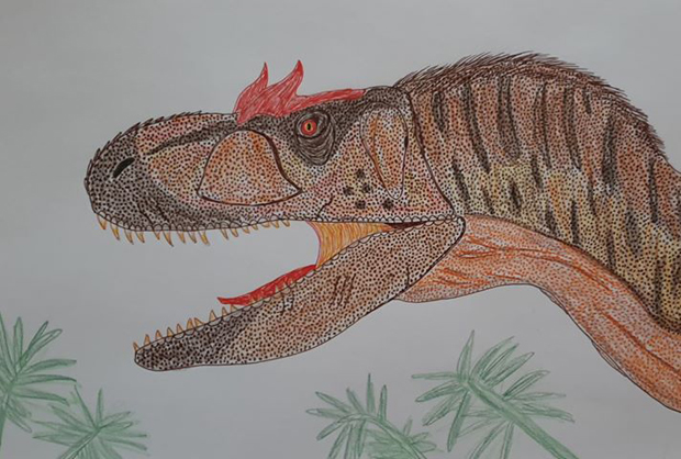 Allosaurus Illustrated