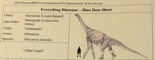 Everything Dinosaur Atlasaurus fact sheet.