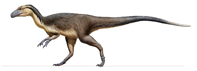 Life reconstruction of a polar theropod dinosaur.