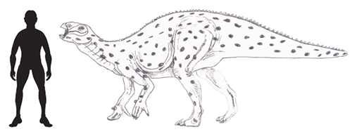 Fukuisaurus illustration.