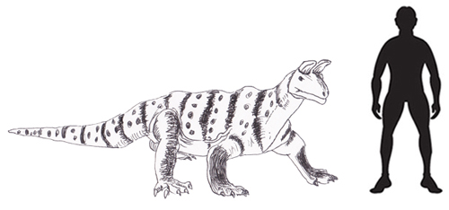 Shringasaurus scale drawing.