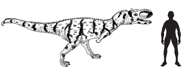 Tralkasaurus scale drawing.