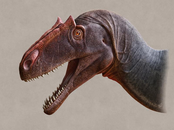Allosaurus jimmadseni life reconstruction.