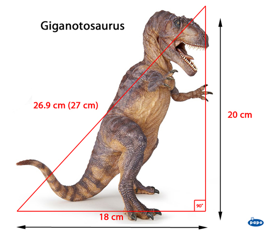 Estimating the approximate scale of the new for 2020 Papo Giganotosaurus dinosaur model using the Pythagoras theorem.