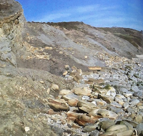 A View of the strata associated with Bowleaze Cove.