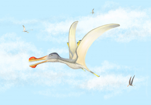 New pterosaur genera described from the Kem Kem Beds of Morocco.