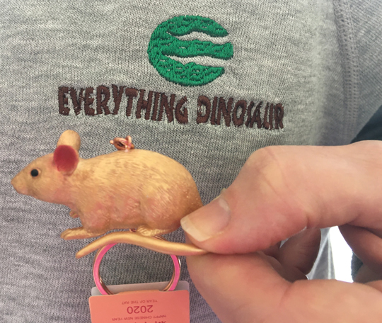 Everything Dinosaur lucky charm giveaway.