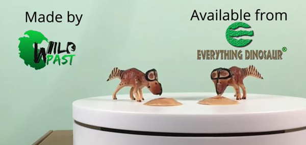 The Wild Past Protoceratops dinosaur model is available from Everything Dinosaur.