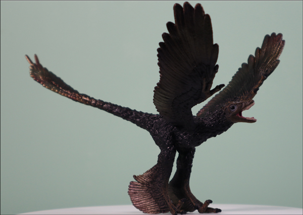 The new for 2020 CollectA Deluxe 1:6 scale Microraptor dinosaur model.