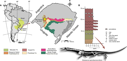 Elessaurus map, stratigraphic profile and skeletal reconstruction.