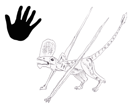 Carivramus pterosaur scale drawing.