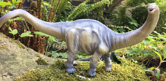 Out and about with a Mojo Fun Brontosaurus model.