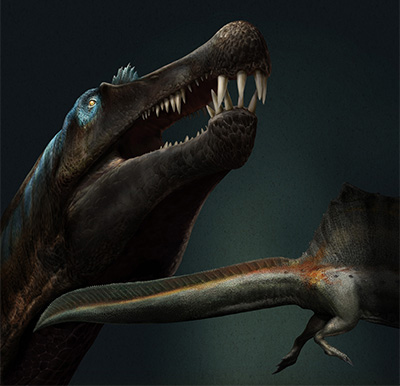 Swimming Spinosaurus (2020)