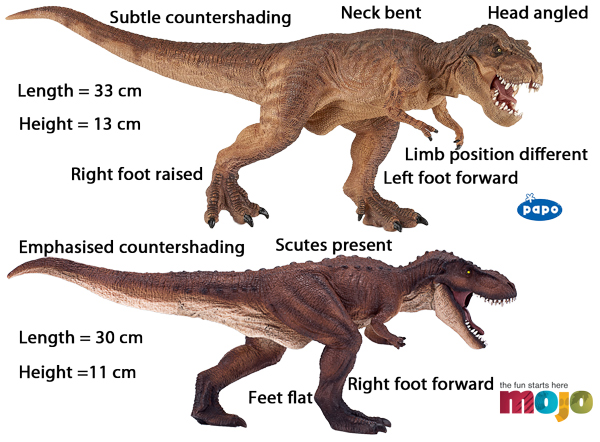 Comparing T. rex dinosaur models.