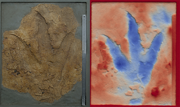 Photograph and false-colour image of a theropod print.