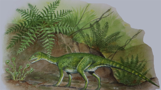 Pisanosaurus life reconstruction.