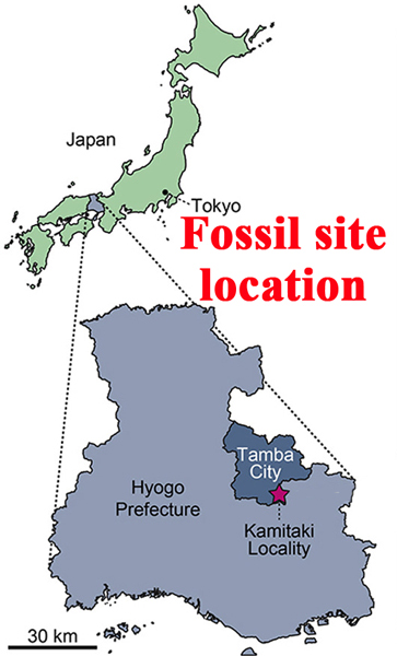 Fossil site location.
