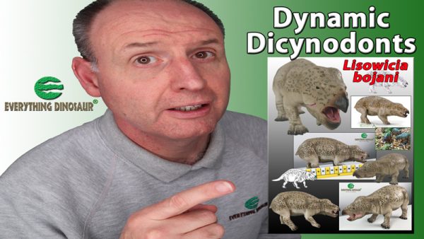 Everything Dinosaur "Dynamic Dicynodont" Video Title