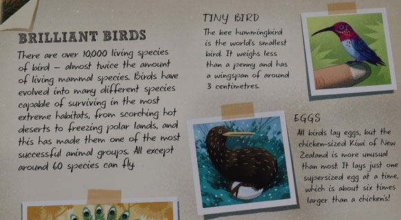 "Prehistoric Pets" - brilliant bird facts.