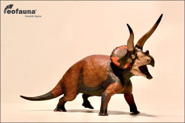 Eofauna Scientific Research Triceratops Model