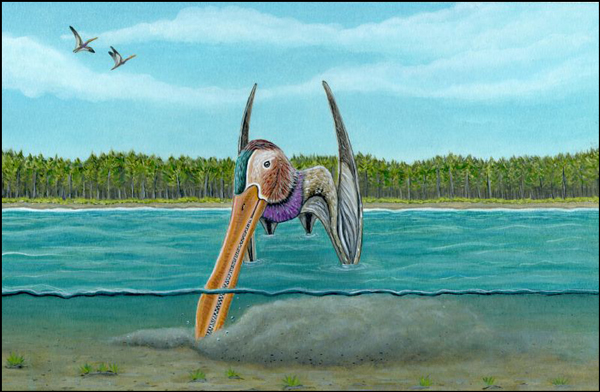 Lonchodraco (pterosaur) probing mud for food.