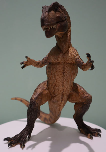 A studio shot of the Papo Giganotosaurus dinosaur model.