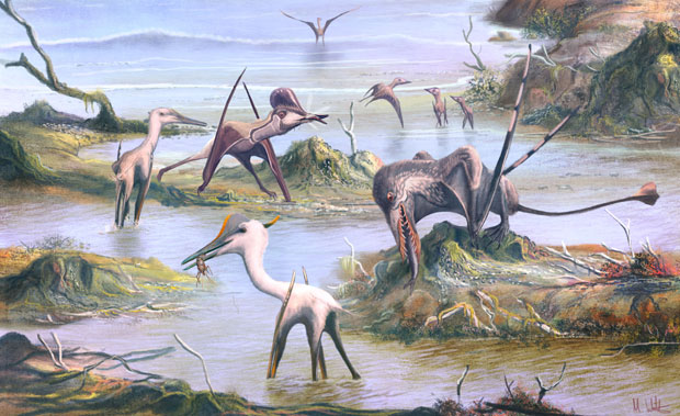 Pterosaur ecology, a fresh insight into the diets of the Pterosauria.
