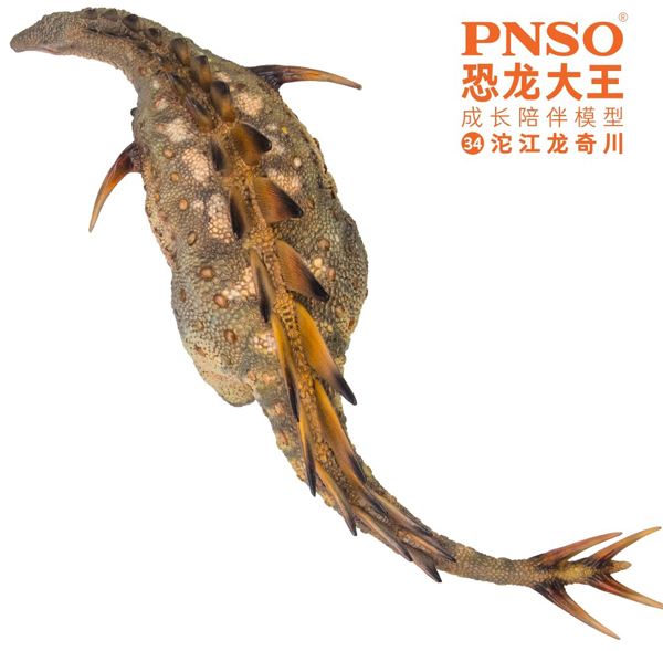 The PNSO Qichuan the Tuojiangosaurus dinosaur model (dorsal view).