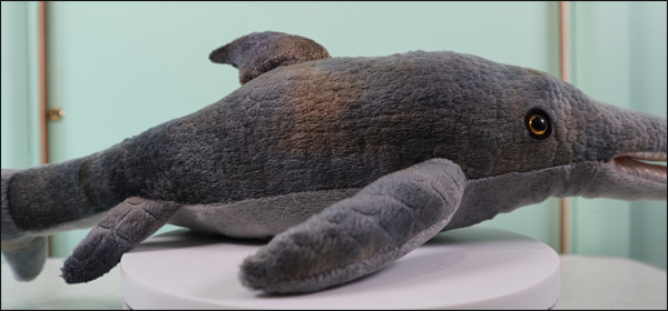 Natural History Museum Ichthyosaurus soft toy.