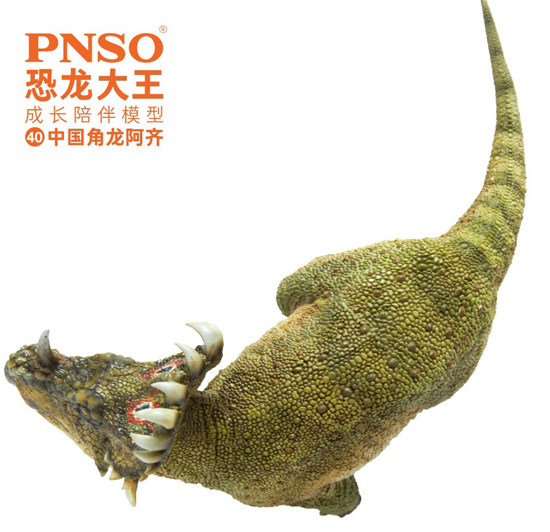 PNSO A-Qi the Sinoceratops.