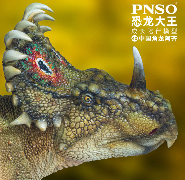 PNSO Prehistoric Animal Models That Accompany Your Growth 40 A-Qi the Sinoceratops.