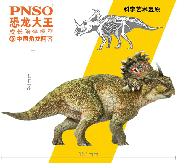 A-Qi The PNSO Sinoceratops model measurements.