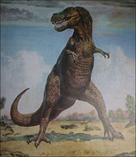 Tarbosaurus bataar by Burian (1970).