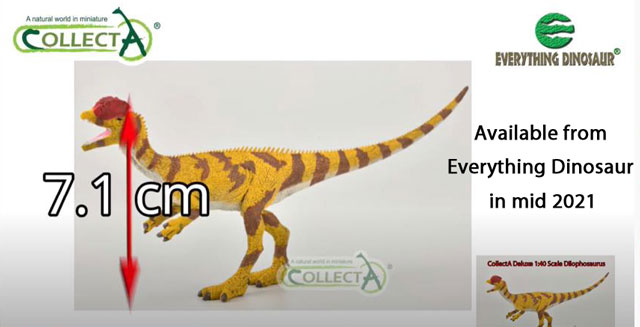 CollectA Deluxe Dilophosaurus feature in Everything Dinosaur's video revew.