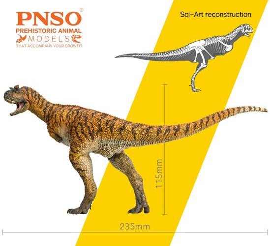 The PNSO Domingo the Carnotaurus dinosaur model (model measurements).