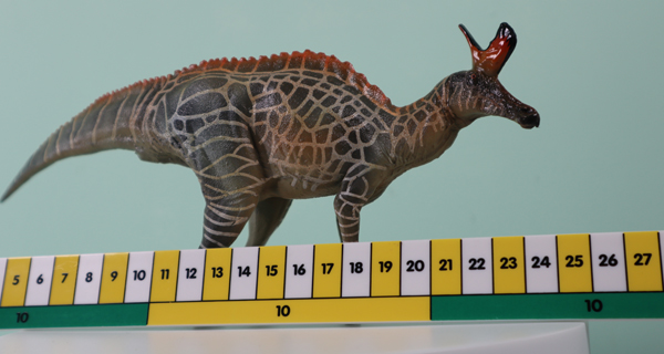 PNSO Audrey the Lambeosaurus model measurements.