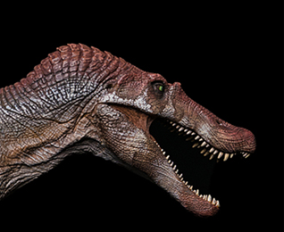 A close-up view of the head of the W-Dragon Spinosaurus dinosaur model.