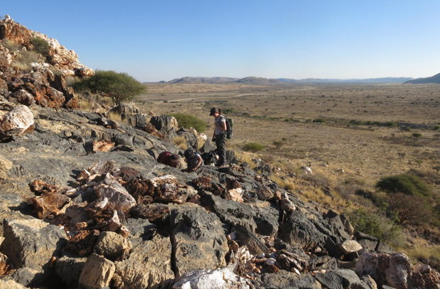 Field team members looking for Ediacaran fossils in Namibia.