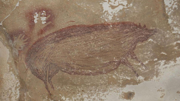 Warty pig cave art (Sulawesi, Indonesia).