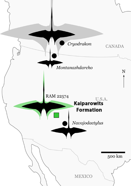 Late Cretaceous major pterosaur fossil finds in western North America.