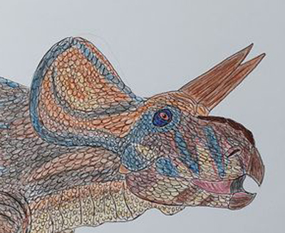 A close-up of the head of Zuniceratops as illustrated by Caldey.