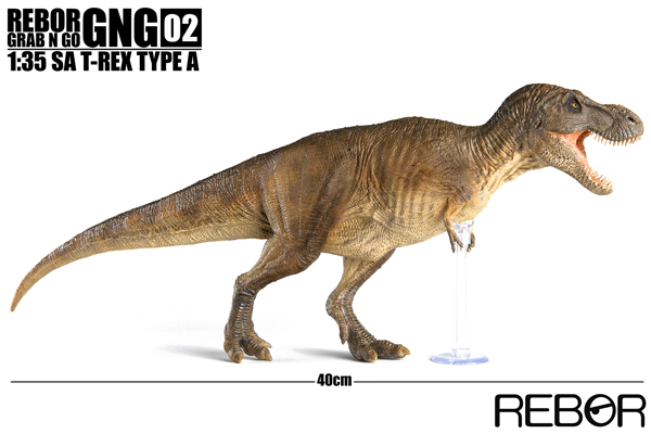 The Rebor GrabNGo T. rex (Type A)
