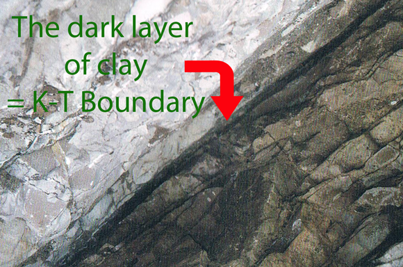 Identifying the K-T Boundary (Iridium Clay Layer)