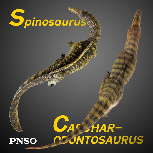 PNSO Carcharodontosaurus Compared with the PNSO Spinosaurus