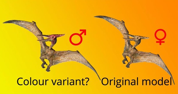 Could Papo introduce a Pteranodon colour variant?
