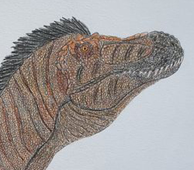 A close-up view of a dinosaur illustration