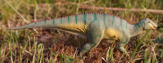 The new for 2021 CollectA Kamuysaurus dinosaur model