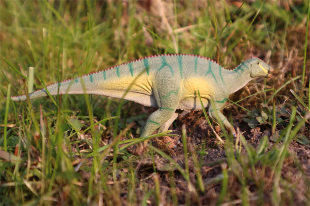 The CollectA Kamuysaurus dinosaur model